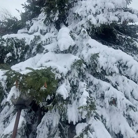 Lejlighed Art Semiramida Borovets