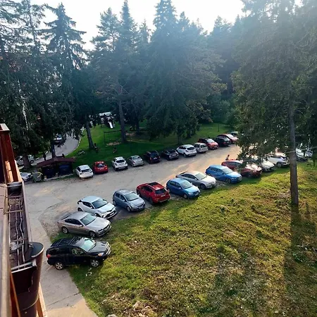 Art Semiramida *