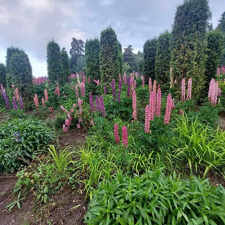 Lejlighed Art Semiramida